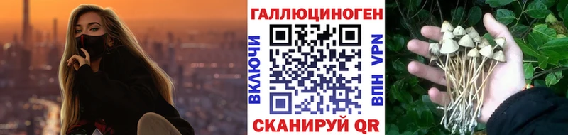 блэк спрут ссылка Новоузенск Псилоцибиновые грибы ЛСД